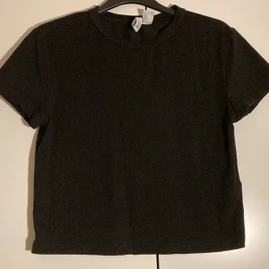H&M basic tröja - Tröjan kommer från H&M och är i stl L men den är som en S. Väldig väldigt liten i storleken. Jag har endast testat denna tröja och men aldrig använt en hel dag. Den är i helt klart ny skick.  Tröjan sitter tajt och är en magtröja. Av bomull och är mjuk.