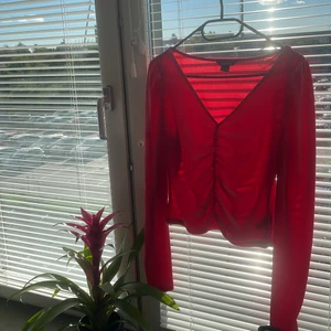 Topp -  jättefin röd tar priset går att diskutera 