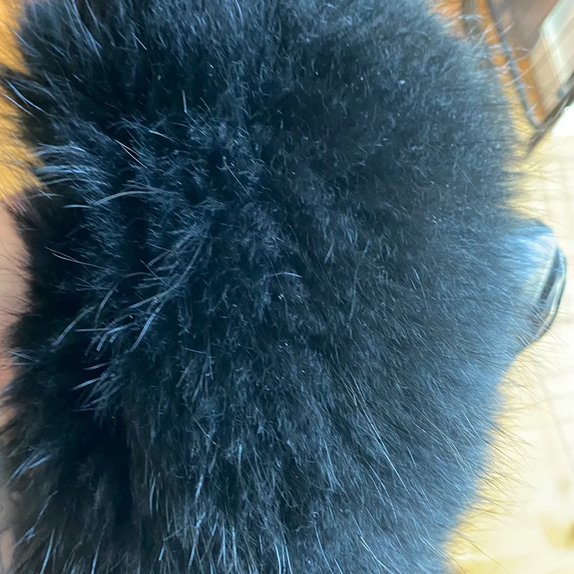 Cedrico Monet Leather Black - 91