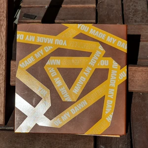 SEVENTEEN "You Made My Dawn" - ⚠️Inclusions på sista sidan⚠️ Eternal Sunshine Ver. Pre-Order. Kommer med lyrics book, lenticular card, 1 pc och 1 behind the scene card. Skickas i blå postnord påse med bevis. ⚠️det går att köpa till ett till The8/Minghao pc (vill egentligen behålla det men kan sälja det om någon verkligen vill ha den)⚠️