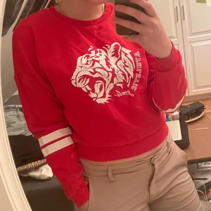 Tröja - Jag säljer min tröja, den är i använd skick men hur fin som helst! Priset går såklart att diskuteras.