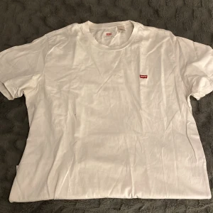 Off-white T-shirt  - En Levis t-shorts 