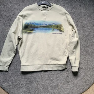 Sweatshirt från asos design  - Cool sweatshirt från asos design men kommer inte till användning