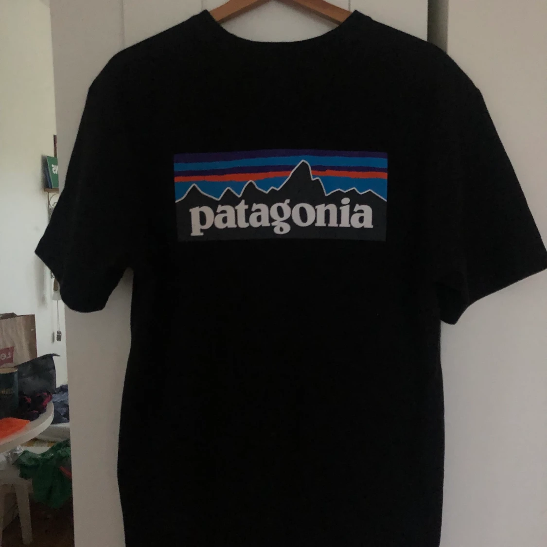 Patagonia t-shirt, Strl L - 90