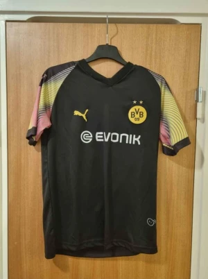 Dortmund matchtröja  - Dortmund matchtröja i storlek 176 Puma  I mycket fint skick,  endast hängt som prydnad  Kan skickas mot porto. Hämtas annars I Östra Ljungby