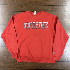 Champion Minot state Sweatshirt - Snygg vintage sweatshirt i storlek L! Bara att skriva om du undrar över något🙏