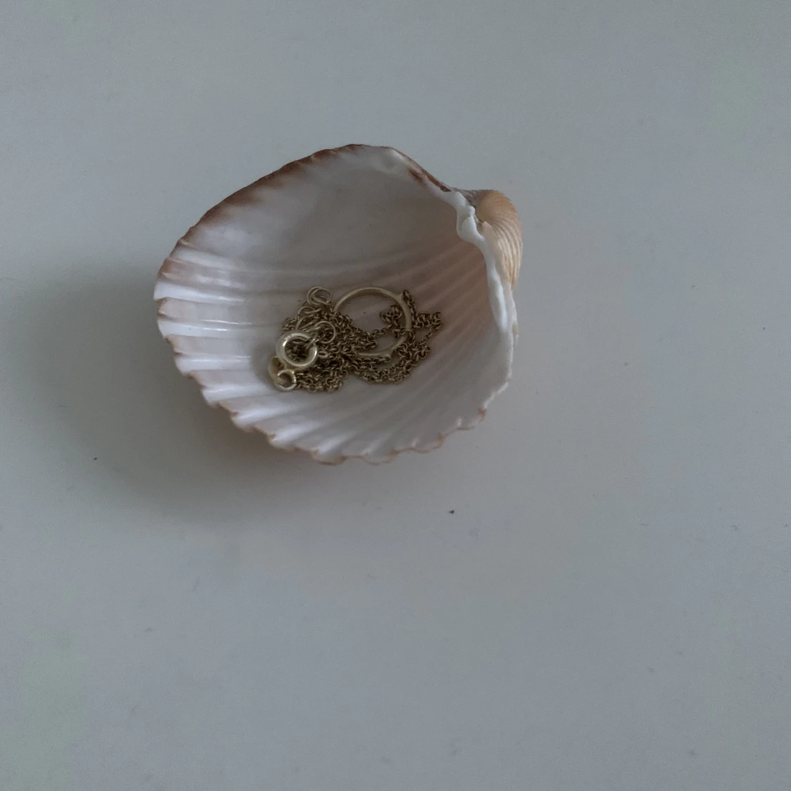 Snäckor/ dör du kan ha smycken  - 90