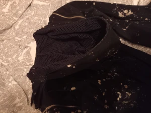 Tröja  - Väldigt fin cool kan ta av ärmarna katt finns i hemmet 