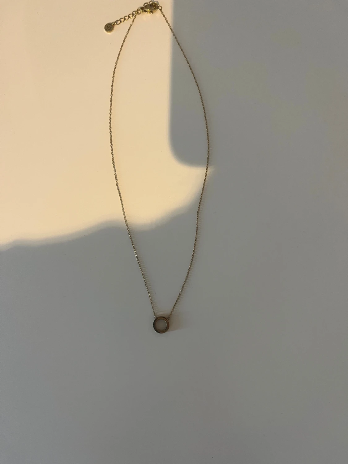 Guldigt halsband med cirkelberlock