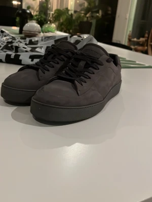 Gråa sneakers från Tiger of Sweden - Stilrena grå sneakers från Tiger of Sweden i matt läder med svarta skosnören och diskret logga på sidan. Klassisk låg modell med robust sula och minimalistisk design som passar till det mesta. Perfekta för dig som gillar en clean och modern look. Har haft dessa i två veckor. Sko boxen kommer med i köpet.