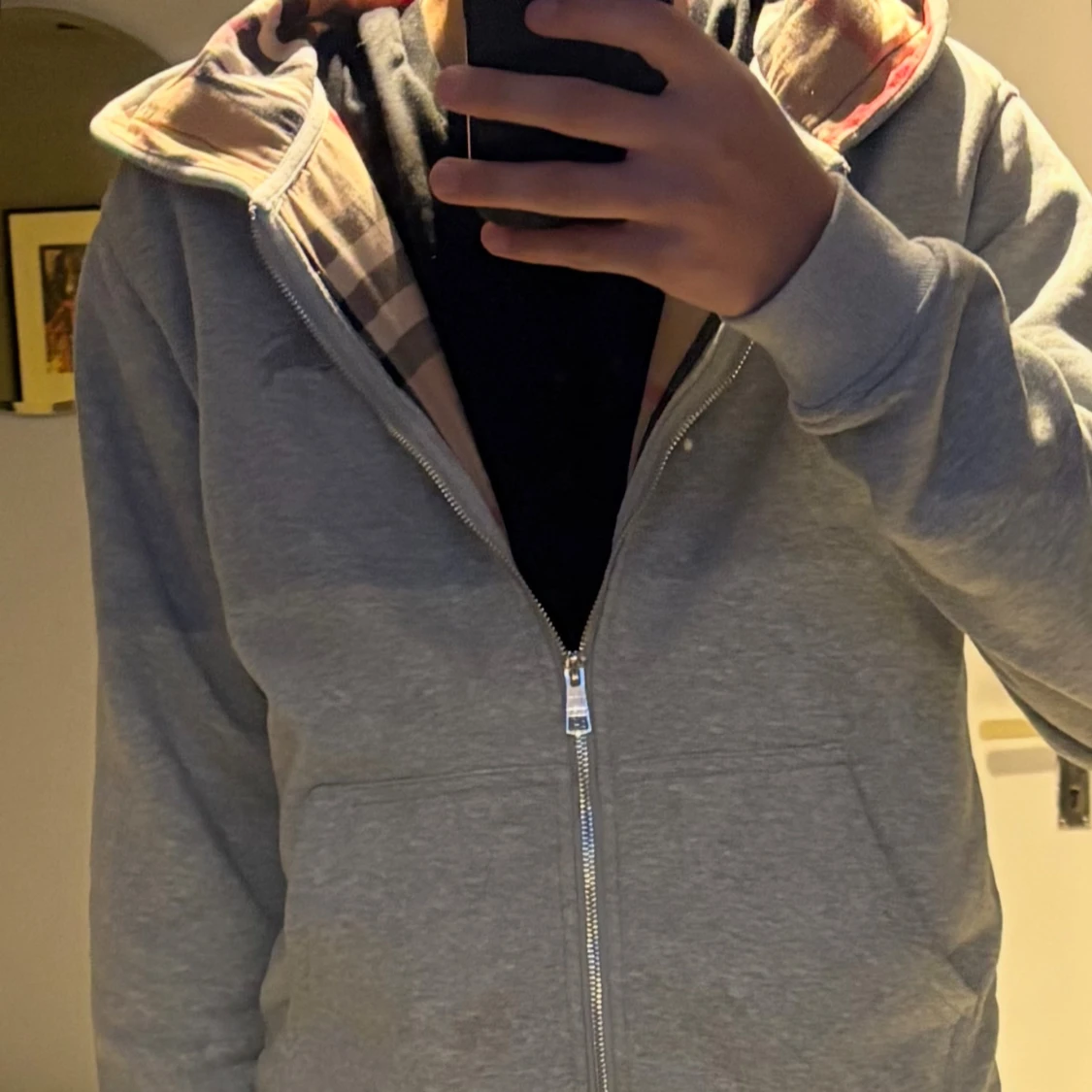 Grå burrberyzip
