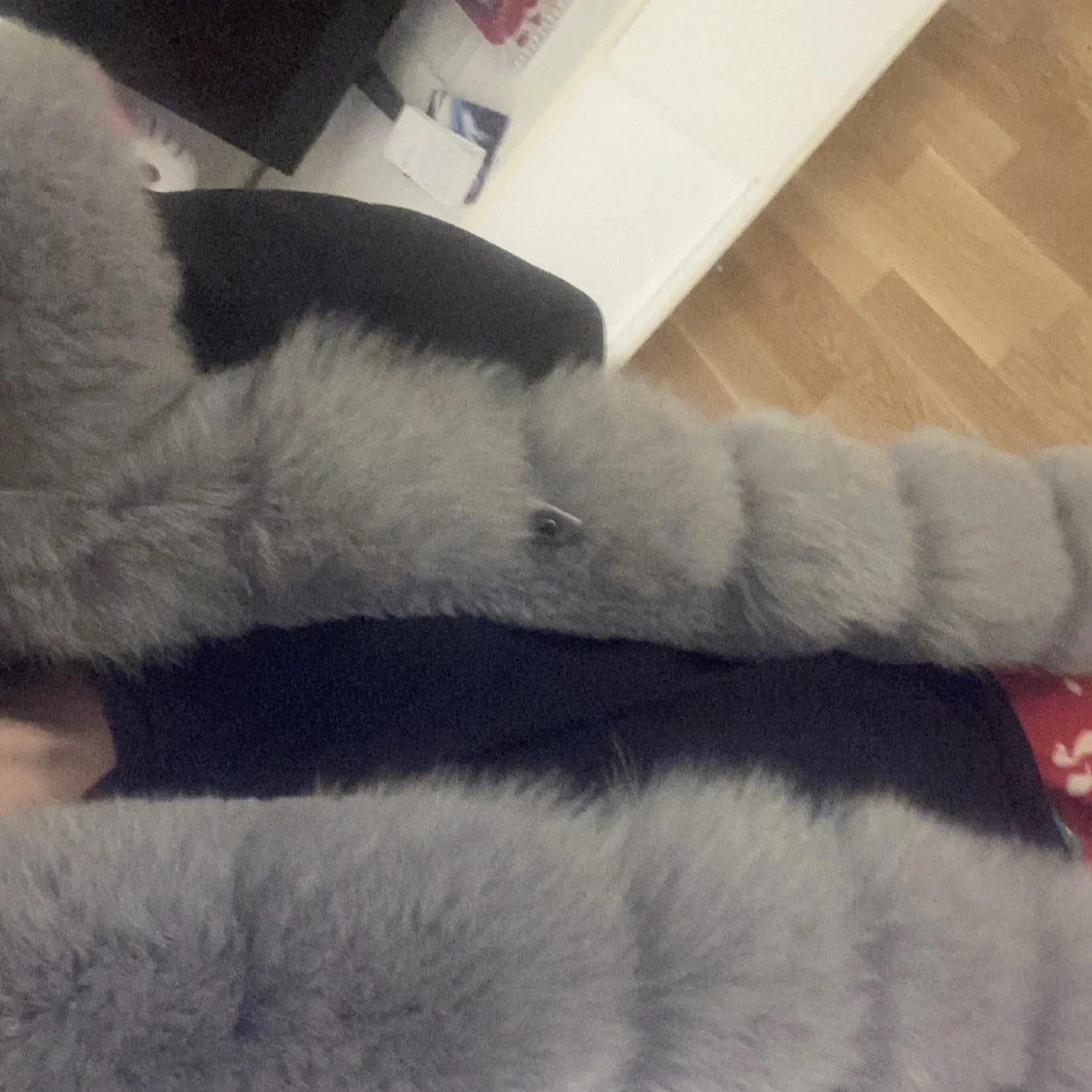 Svart jacka med grå pälsdetaljer - 1