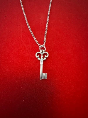 Halsband nyckel - Halsband som inte är i äkta silver/guld. Kedja är oftast 50cm men kan ibland komma i 45cm. Kedja är rostfritt stål, berlock oftast i zinklegering men kan även det i vissa fall vara rostfritt stål. Be gärna om mått på berlock om detta är viktigt då bilderna är missvisande när det gäller hur stora dom är! 🌹❤️  Allt är nytt även om de kan stå ”mycket bra skick” , detta mest för att Vinted inte ska fundera på varför jag bara har nya saker .  Bud accepteras inte 🥰🌹