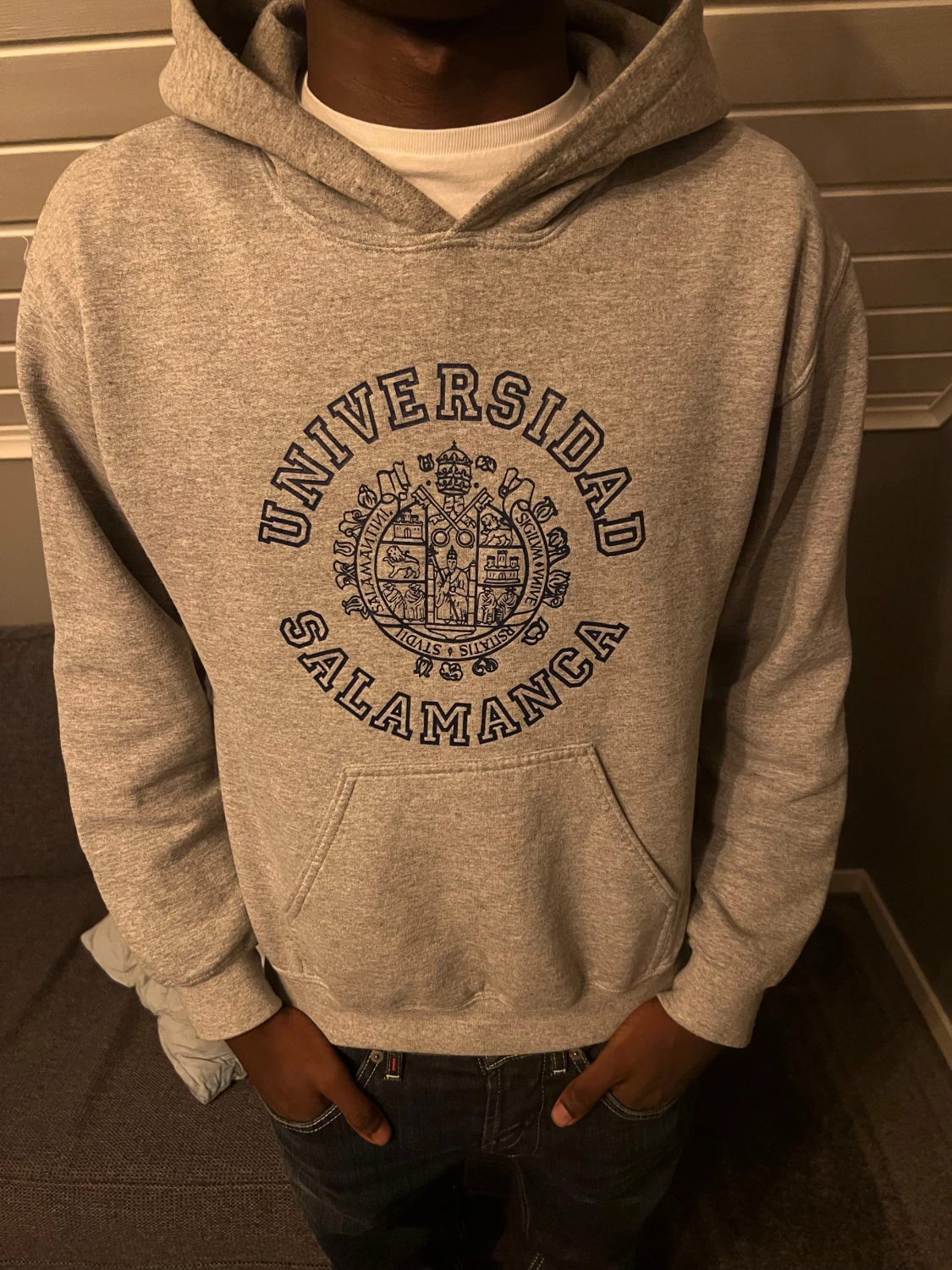 Grå hoodie med tryck  - 1