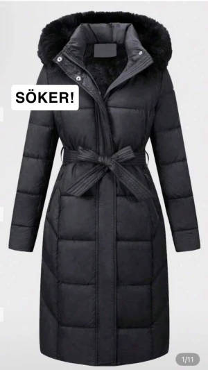 Svart lång dunjacka med luva - Har någon denna vinterjackan från SHEIN som skulle vilja sälja den så är jag intresserad. 💗