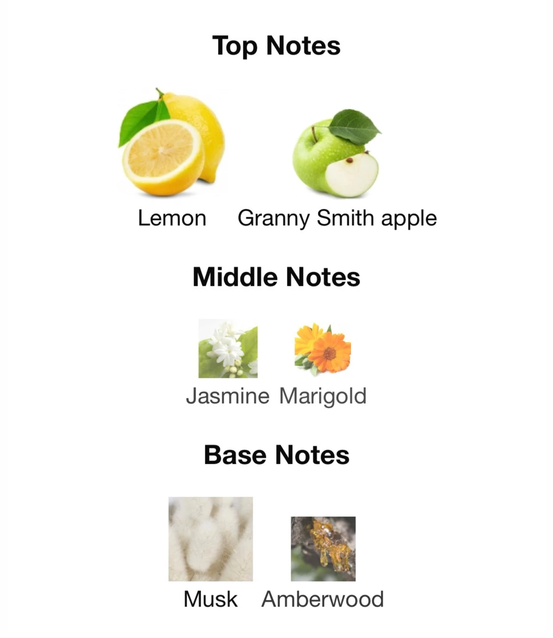 Dolce & Gabbana parfym - 2