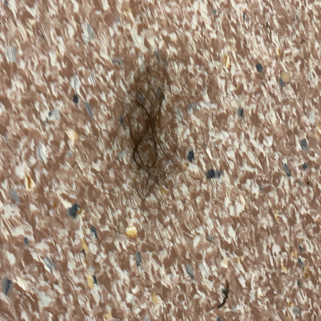 Mystisk hårboll  - 1