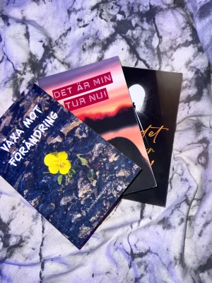 Sis böcker  - En inspirerande bok fylld med texter av ungdomar som delar sina tankar om förändring, hopp och drömmar. Perfekt för dig som vill läsa äkta berättelser och få motivation att växa och utvecklas. Skapad av unga för unga, med fokus på att bygga en bättre framtid.