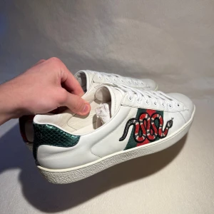 Gucci Ace NYA - Tja, säljer  mina äkta Gucci Ace! Skick 9,5/10, size 43. Har kvitto. Köpta för  5000kr,  säljs för 2100kr - STEAL 