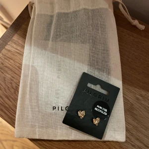 Guldiga hjärtformade örhängen Pilgrim - Snygga örhängen från Pilgrim i guldton med hjärtformad design. De är små och stilrena, perfekta för att ge din look en söt touch. Levereras i original tygpåse från Pilgrim. Örhängena är tillverkade av minst 75% återvunnet material.