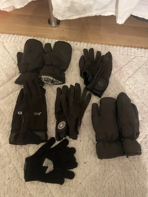 Flera olika ridhandskar  - Sex olika ridhandskar två vinter handska ett par  till hösten två till vår/sommar och ett par fingervantar 