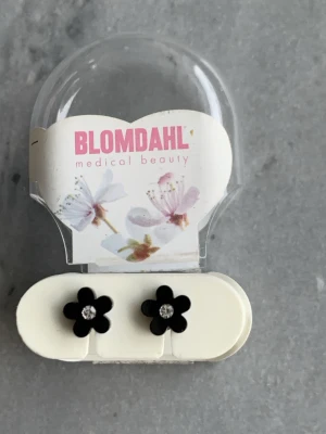 Blomdahl örhängen  - Rostfria och allergifria örhängen. Har testat de bara. Pris 80kr. 