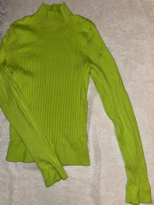 turtle neck - no issu