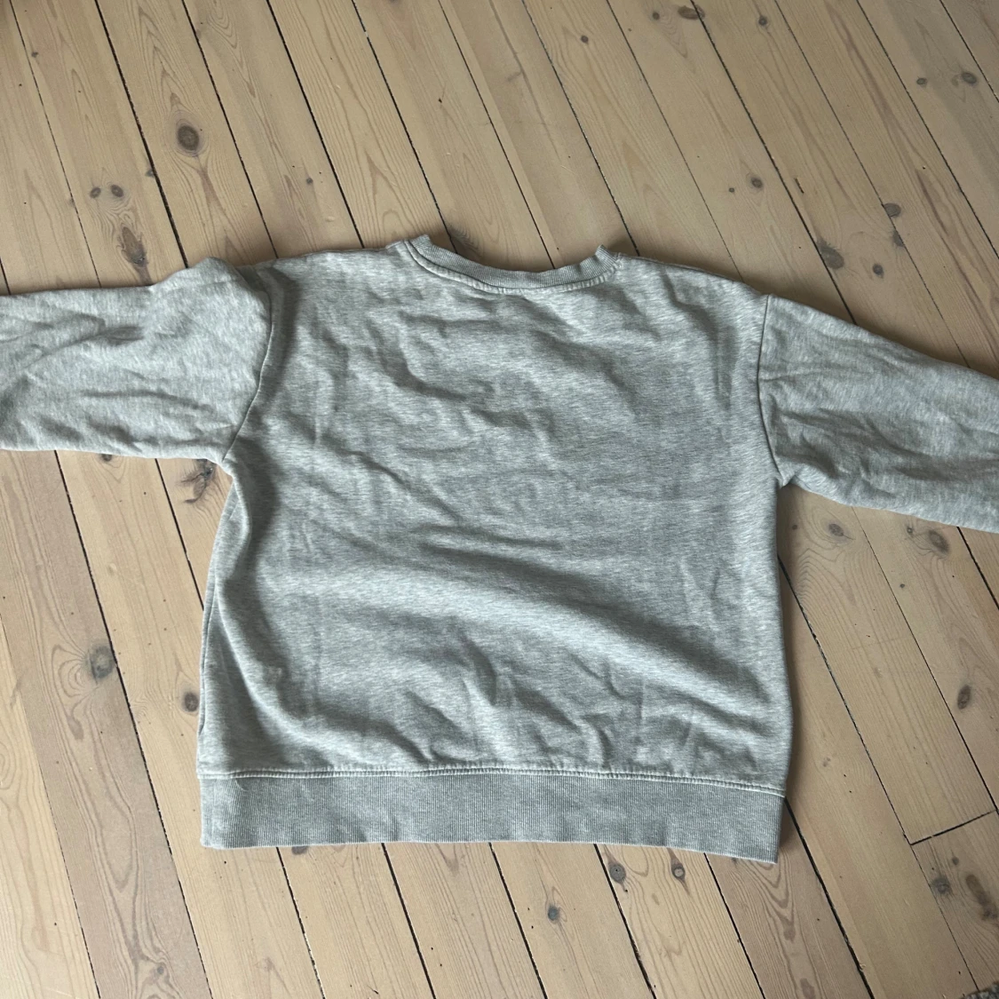 Grå Harvard sweatshirt med tryck - 2