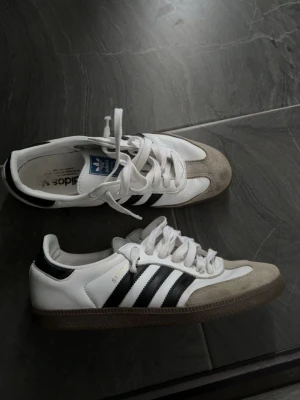 Adidas samba  - Snygga adidas samba i bra skick! Snören är lite sönder som ni ser därav priset! Box medföljer 