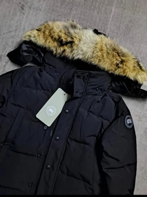Svart dunjacka från Canada Goose - Säljer en svart dunjacka från Canada Goose med fluffig päls på huvan och snyggt märke på ärmen. Jackan har dragkedja och knappar framtill, samt en quiltad design som ger extra värme. Perfekt för kalla vinterdagar och riktigt stilren look.