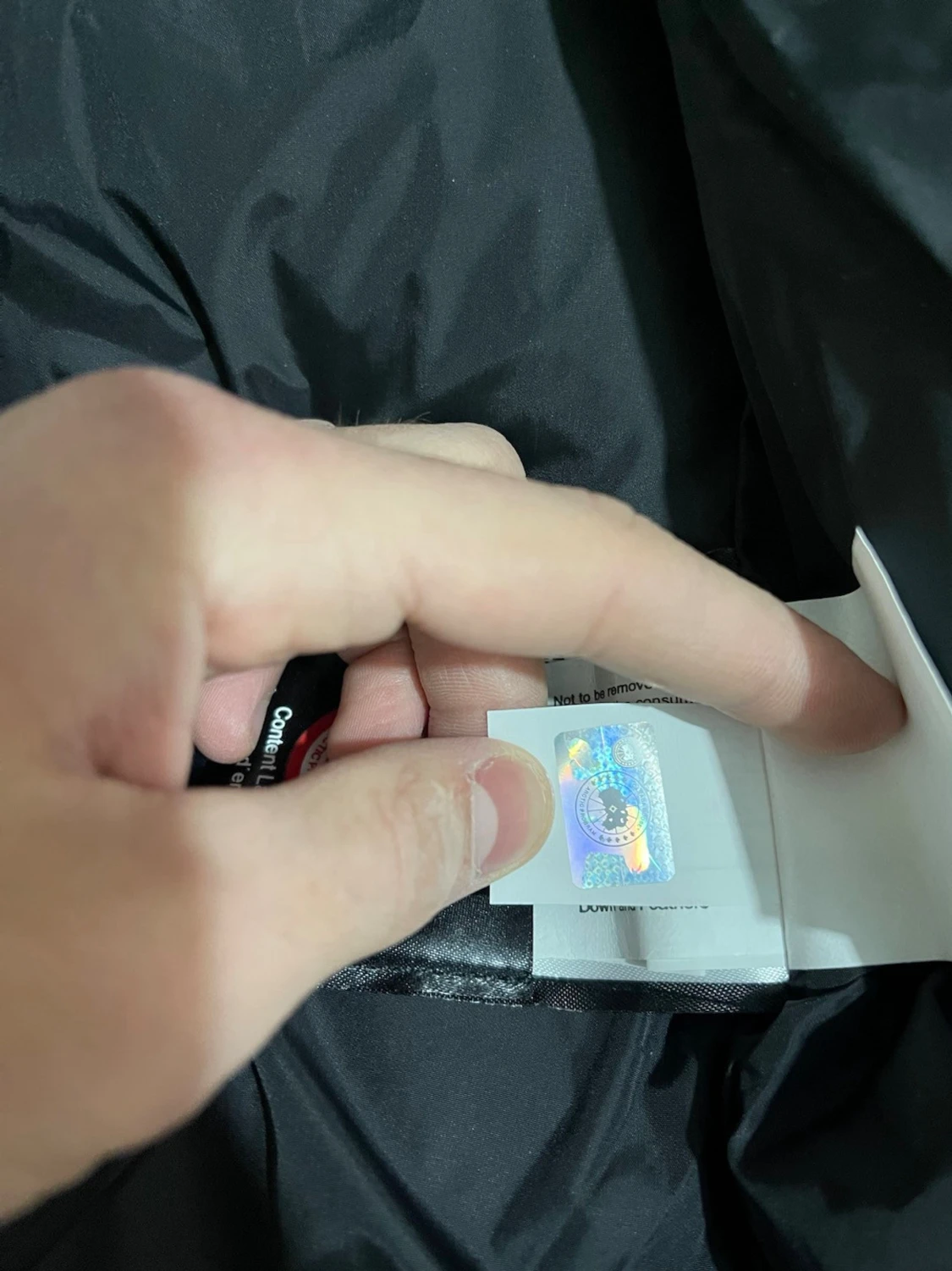 Svart dunjacka för vintern kan diskutera priset - 4