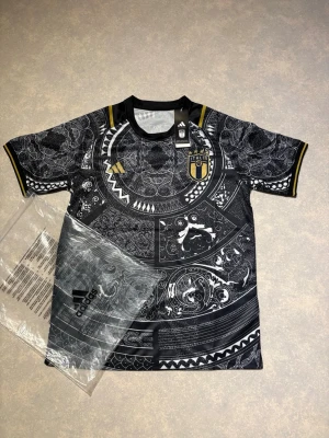 Fotbollströja Italien  - En mönstrad Italien tröja med guld detaljer som e special edition och väldigt skön och snygg, hör av er vid fler frågor🤝