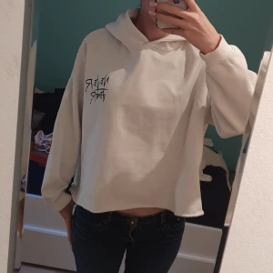 Vit croppad hoodie med tryck - Säljer en vit croppad hoodie med svart tryck. På bröstet står det 'NEVER FEAR' och på ryggen finns en stor text med 'TAKE THE RISK'. Hoodien har huva och långa ärmar, perfekt för en chill och edgy stil.