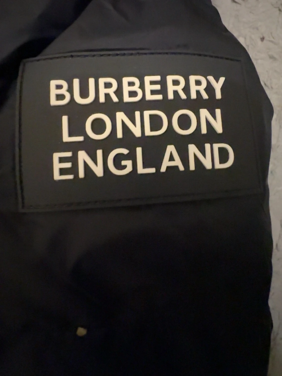 Svart dunväst med huva från Burberry - 4