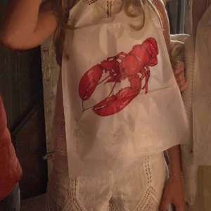 Zara ser - Så fint spets set från Zara🥰🥰