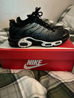 Nike Air Max Plus Tn - Nike Air Max Plus Tn sneakers i svart och grå mesh med blå Nike logga på sidan. Skorna har en unik vågig design, synlig Air Max-dämpning och Tn Air-logga på hälen. Platt sula och snörning framtill. Perfekt för dig som gillar streetwear och sportig stil.