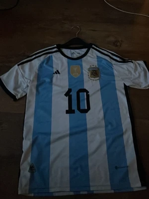Messi tröja - En Argentina tröja från 2023 med Messi på ryggen. Storlek:M