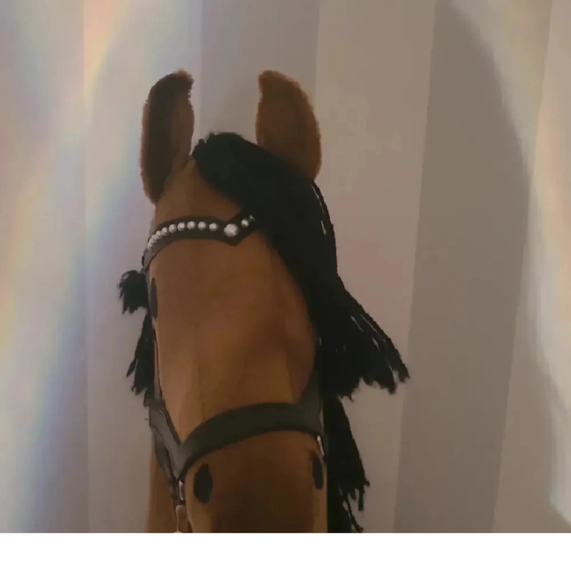 Egen syd käpphäst! - 1