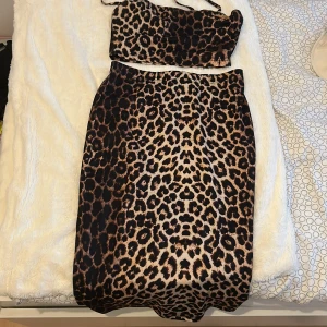 Ett leopard sett - Två delars kläder som passar med annat enskilt 