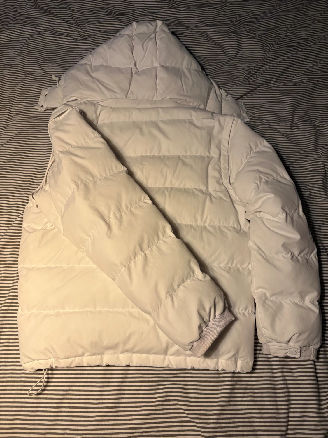 Vit pufferjacka från Corvidae - 2