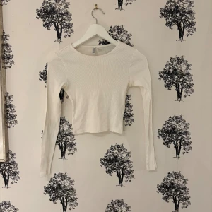 Vit ribbad croppad topp från H&M - Säljer en vit långärmad croppad topp från H&M Basic. Toppen är ribbad och har en rund halsringning. Perfekt att styla med jeans eller kjol för en clean och enkel look. Materialet är mjukt och stretchigt, vilket gör den skön att bära hela dagen.