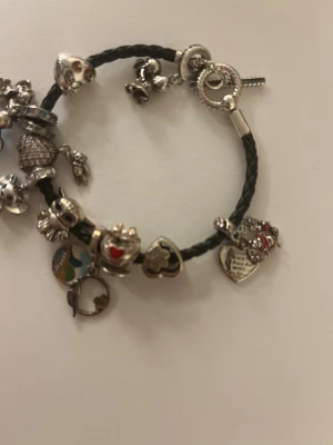 Svart flätat armband med berlocker - Unikt svart flätat armband med massor av silverfärgade berlocker i olika former som hjärtan, djur, skallar och en sköldpadda med blå detaljer. Några berlocker har röda och blå stenar, text och glittriga inslag. Perfekt för dig som gillar personliga smycken med coola detaljer.