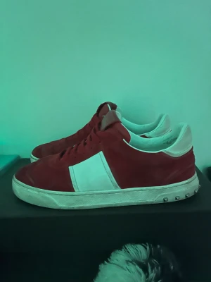 Valentino flycrews 40,5 - Röda valentino flycrews i stl 40,5 men passar 41-42. Sjukt bra skick men har tappat 1 nit. Rengör innan de postas. Box medföljer. Kan gå ner lite i pris vid snabb affär