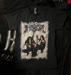 Immortal t-shirt - Immortal t shirt i storlek M. Mycket bra skick och knappt använd!