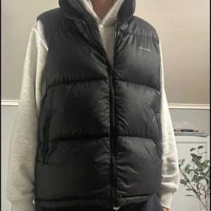 Svart dunväst från Holzweiler - Säljer en svart dunväst från Holzweiler i storlek L. Västen har hög krage, dragkedja framtill och två fickor med dragkedja. Puffig och stilren modell som är perfekt att slänga över en hoodie. Diskret logga på bröstet. Ordinarie pris ligger på 3000 kr. 