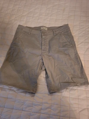 Beige shorts från ONLY & SONS - Snygga beige shorts från ONLY & SONS med klassisk passform. De har fickor på sidorna, bälteshällor och stängs med knapp och dragkedja. Perfekta för varma dagar och enkla att matcha med olika outfits.