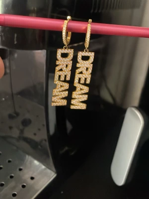 LYLA Guldiga örhängen med text DREAM - Säljer ett par örhängen i guldton med texten 'DREAM' i stora bokstäver. Örhängena är täckta av gnistrande stenar  och hängs i små hoops. 