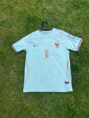 Ljusblå fotbollströja Frankrike Nike - Säljer en ljusblå fotbollströja från Nike med Frankrikes landslagsemblem och nummer 11 i guld på bröstet. Tröjan har korta ärmar, V-ringning och detaljer i orange och rött längs sidorna samt på ärmsluten. Perfekt för fotbollsträning eller match.