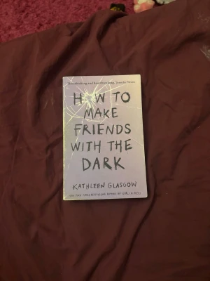 How to make friends with the dark - How to make friends with the dark av Kathleen Glasgow