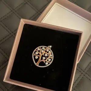 Jättefin silver berlock som skulle passa till både guld och silver smycken! (3 cm i diameter) 